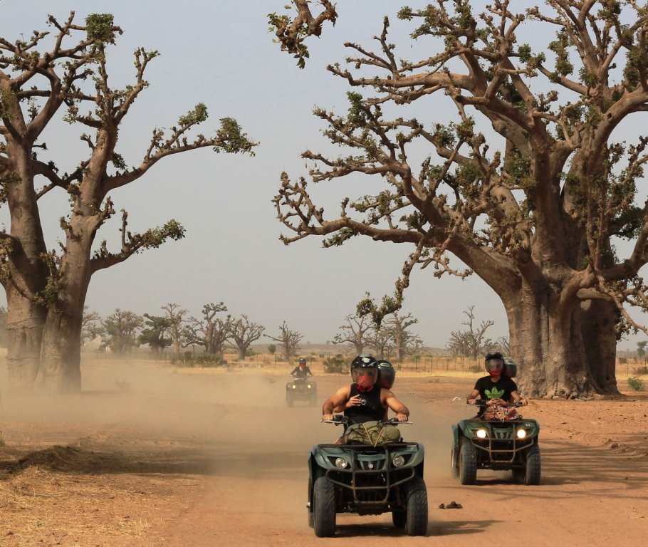 Quad / Buggy